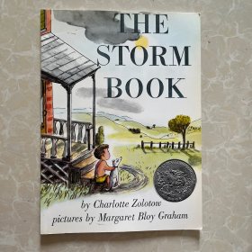 The Storm Book 暴风雨中的孩子