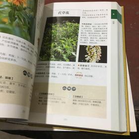 800种中草药彩色图鉴（白金珍藏版）