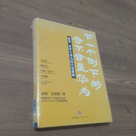 下一个倒下的会不会是华为：故事，哲学与华为的兴衰逻辑