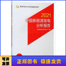 能源与电力分析年度报告系列2021中国新能源发电分析报告