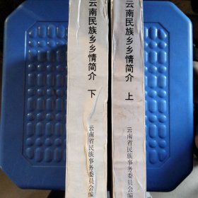 云南民族乡乡情简介 上下册