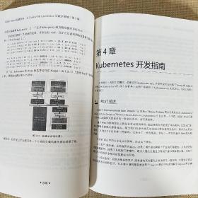 Kubernetes权威指南 从Docker到Kubernetes实践全接触 第2版