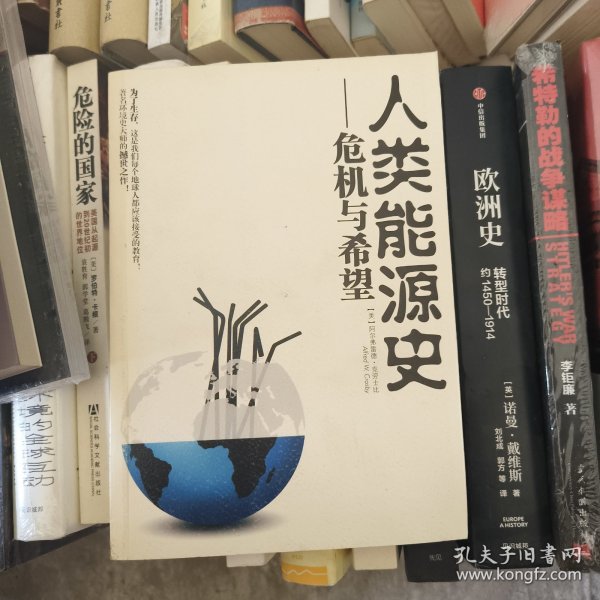 人类能源史