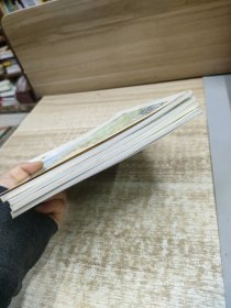 百年百首优秀儿童诗全4册套装共四册 捉迷藏·木舟树+萤火虫·蒲公英+星星树·花纽扣+雨后天.问银河 (四册合售)