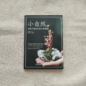 小自然：盆栽大师的无盆小品植栽