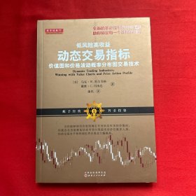 低风险高收益动态交易指标：价值图和价格波动概率分布图交易技术（美国股票估值技术分析市场应对短线中长线操作）