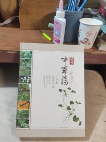 实用中草药