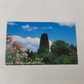 明信片。小雁塔。香港企业家林亮先生，无私赞助的学生，在2006年中秋佳节之即，寄给林先生的节日问候。