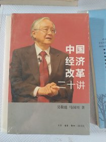 中国经济改革二十讲：重启改革议程