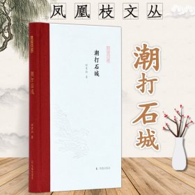 潮打石城（凤凰枝文丛）程章灿著孟彦弘、朱玉麒主编凤凰出版社（原江苏古籍出版社）