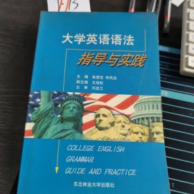 大学英语语法指导与实践