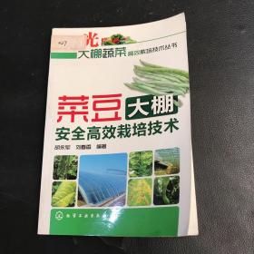 菜豆大棚安全高效栽培技术