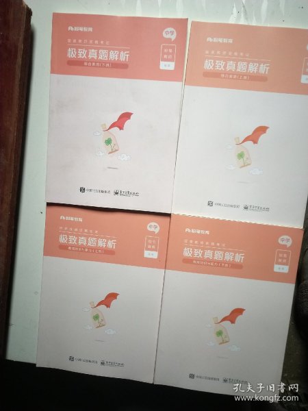 极致真题解析?综合素质?中学（上下册）