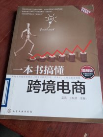 一本书搞懂跨境电商（图解版）（品相如图，馆藏，一版一印）