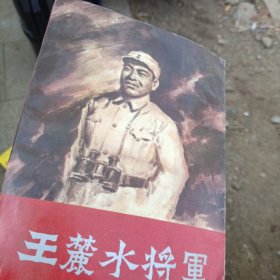 王麓水将军