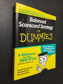 Balanced Scorecard Strategy for Dummies平衡計分卡策略指南 英文原版