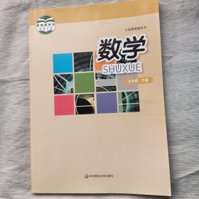 义务教育教科书. 数学. 九年级. 下册