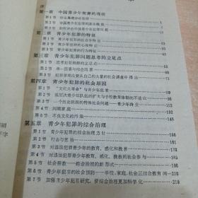 中国青少年犯罪的社会学思考(87年1版1印)