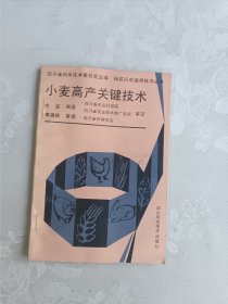 小麦高产关键技术