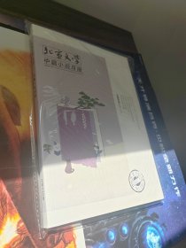 北京文学中篇小说月报2022年第12期