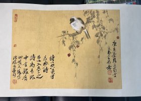 大红袍画家谢运南 精品花鸟小品68*33厘米，中间画芯位置尺幅40*29cm2020精品，中美协会员，中国少数民族美术促进会会员，文化bu人民书画院艺术创作院理事，创作研究员。【终身包真迹】作品为软片！取自画家本人，终身包真迹！！