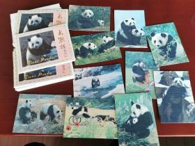 。1989中国国际图书贸易公司版《熊猫》明信片十套包挂刷