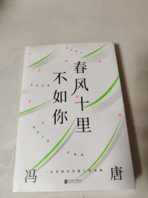 春风十里不如你（年轻时极尽欢喜，年长后极尽通透。冯唐30年文字生涯金线之作，冯唐珍藏私照