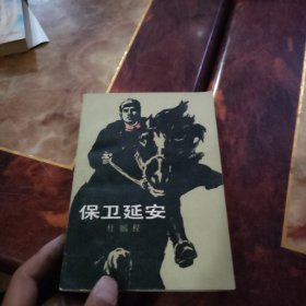 保卫延安
