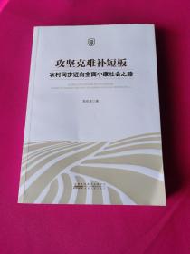 攻坚克难补短板：农村同步迈向全面小康社会之路