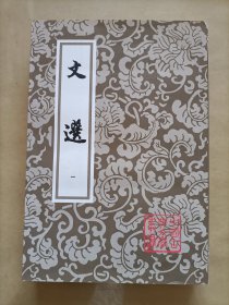 中国古典文学业书:文选一