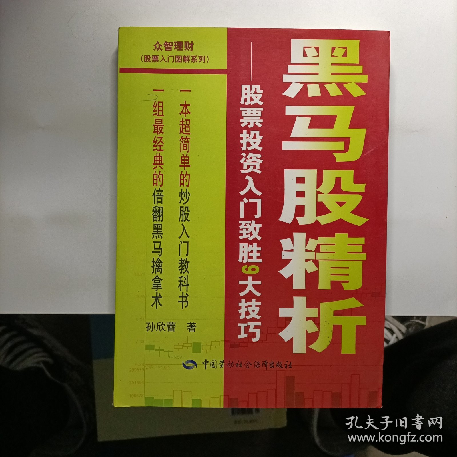 黑马股精析：股票投资入门致胜9大技巧