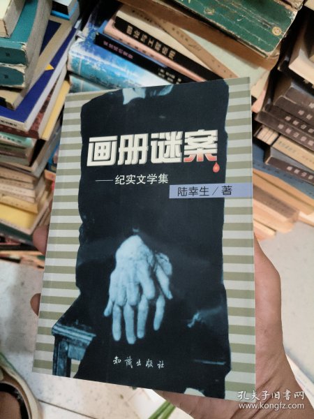 画册谜案--纪实文学集