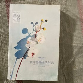 爱你是最好的时光