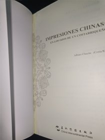 拉美专家看中国系列 中国印象（西）