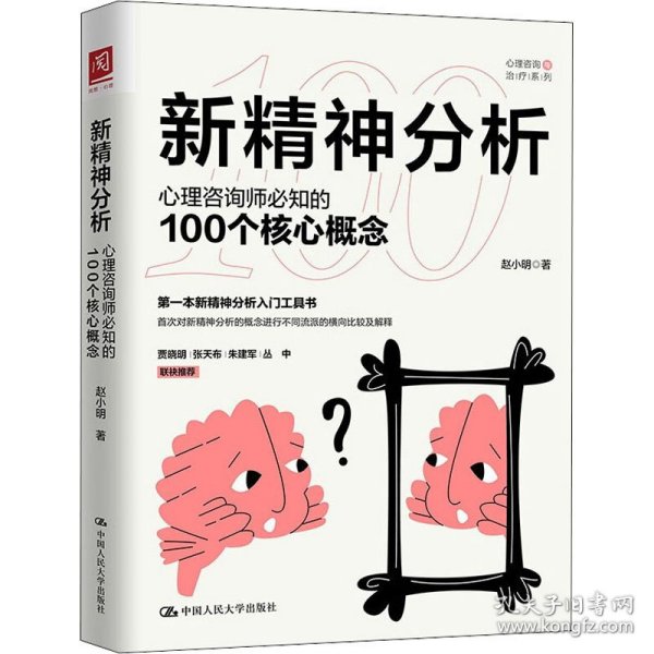 新精神分析：心理咨询师必知的100个核心概念