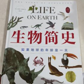 生物简史——如果地球的年龄是一天