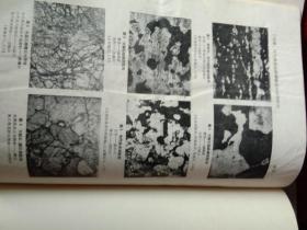 地质学报笫39卷1959年季刊（1一4期全）包邮