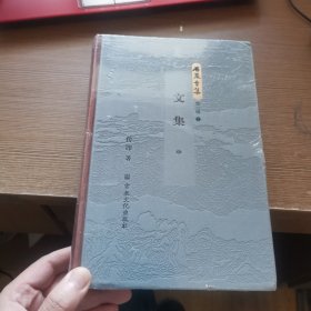 石泉音集 第一辑 2 文集 中