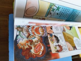 我的第一本科学漫画书·寻宝记系列：法国印度日本俄罗斯德国巴西英国西班牙泰国荷兰加拿大奥地利瑞士意大利菲律宾寻宝记 大16开本