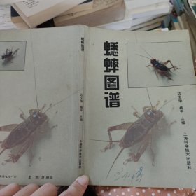 蟋蟀图谱