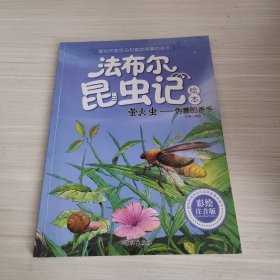 法布尔昆虫记彩绘注音版（萤火虫—伪善的杀手）