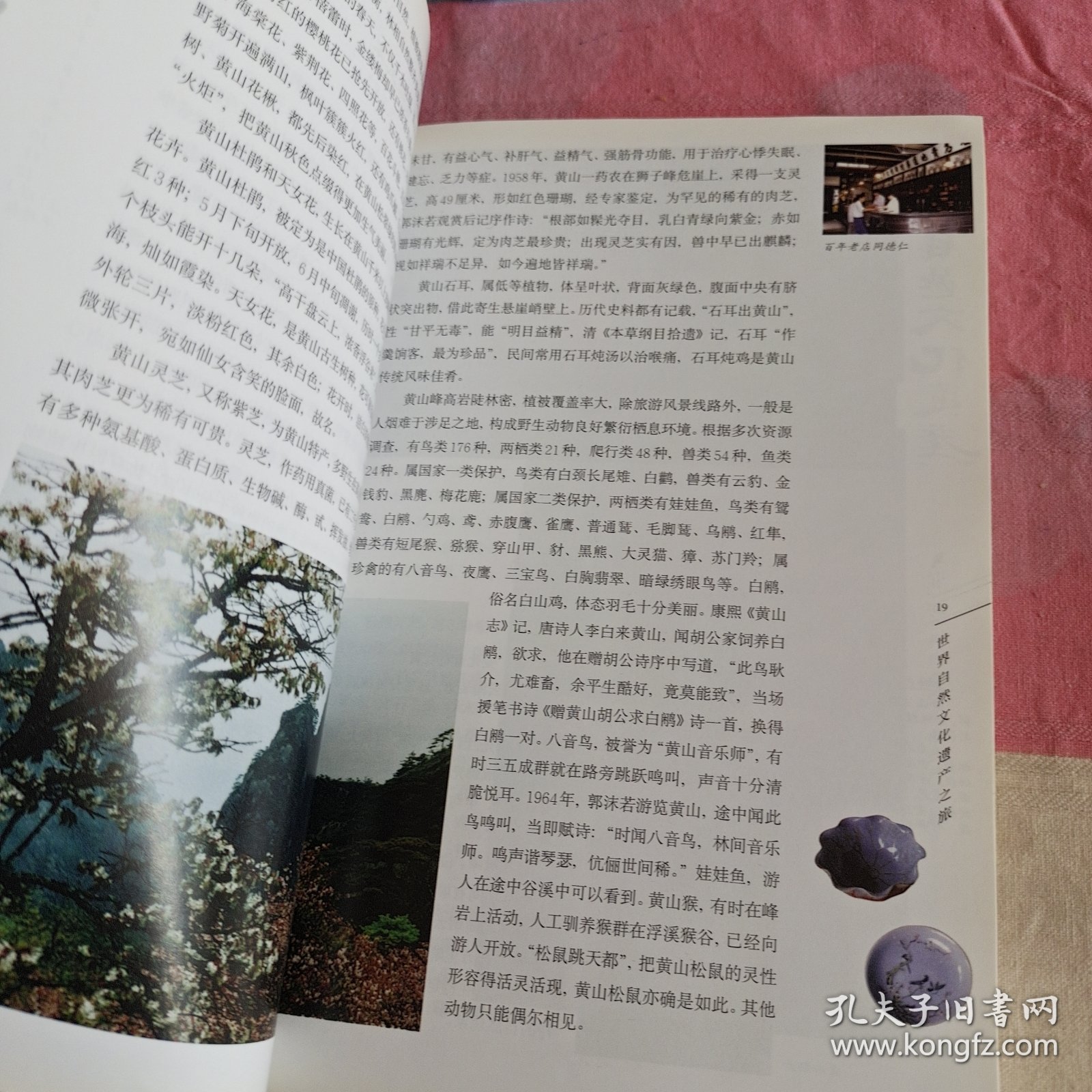黄山——世界自然文化遗产之旅丛书