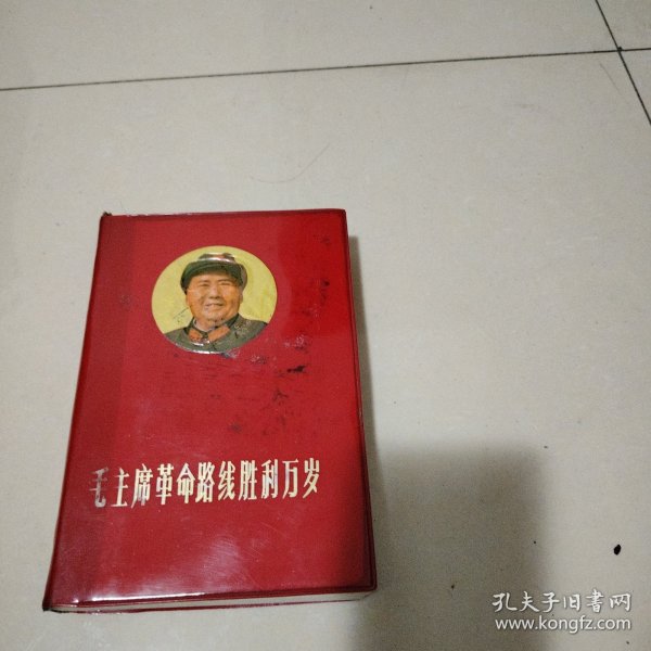 毛主席革命路线胜利万岁（十