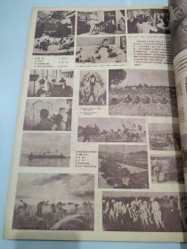 华北解放军 1949年11月15日至1950年2月25日 第42期一份