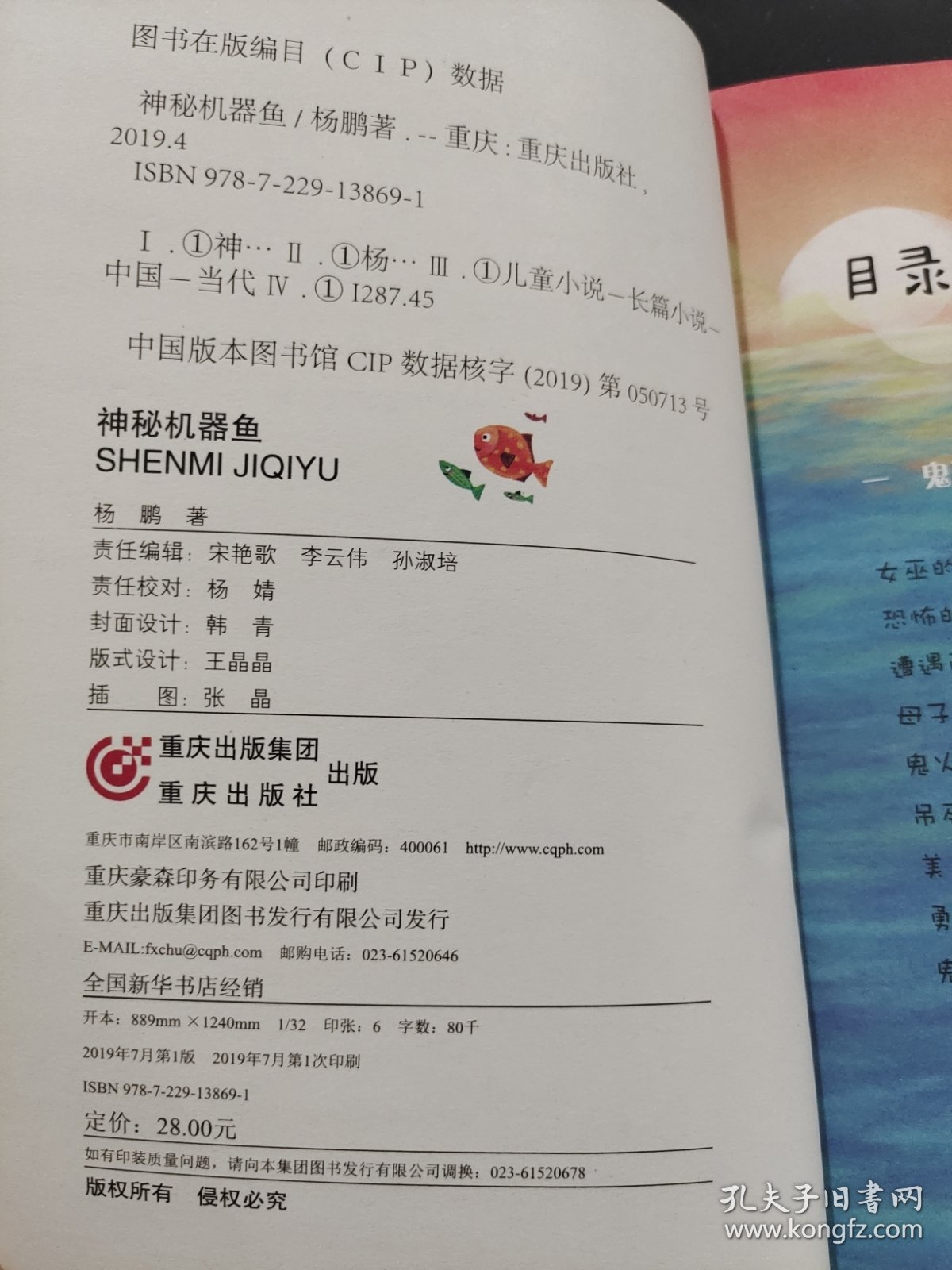 神秘机器鱼