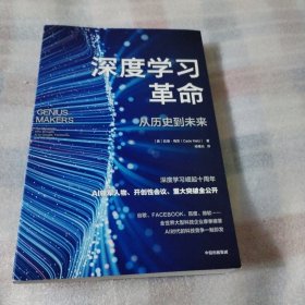 深度学习革命--从历史到未来F98---小16开9品，2023年印