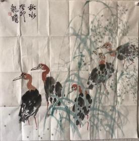 【终身保真字画，得自画家本人】马龙腾 68X68cm！有合影2
生于山东省平度市，毕业于山东师范大学美术系中国画专业，进修于北京大学艺术学院，中国美术家协会会员，青岛市美术家协会理事，青岛市美协花鸟画艺委会副秘书长。