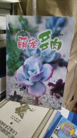 萌宠多肉
