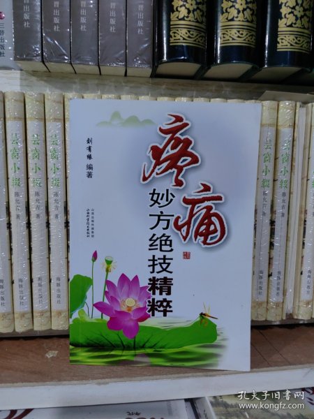 疼痛妙方绝技精粹