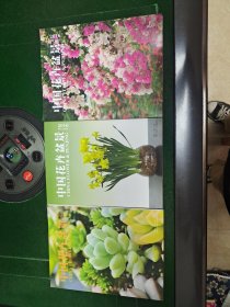 中國花卉盆景2016年第1，2，8期共3冊。